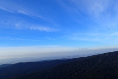 Autor Willi 25.02. Osser