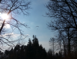 04.02.2018 Gramastetten