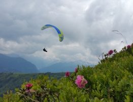 16.06.2018 am Fulseck