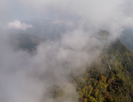 08.10.2018  Schoberstein