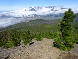 La Palma