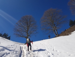 25.3.2018 am Schober