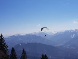 25.3.2018 am Schober