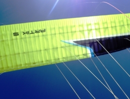 Autor Willi, 19.7. Schöner Schirm