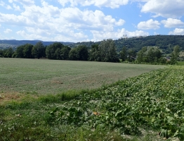Autor Willi, 19.7. Landeplatz m. Maria Taferl