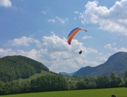 25.05.2019 in Ternberg