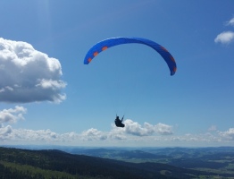 26.06.2020 am Hufberg