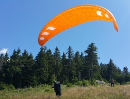 30.07.2020 am Hochficht