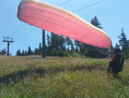 30.07.2020 am Hochficht