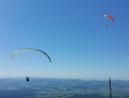 01.08.2020 am Hufberg