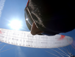 Erich Pröll Film Production