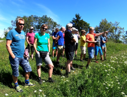 4.7.2020  CM Gaisberg