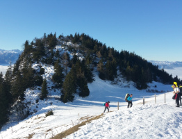 05.01.2021 am Trattberg