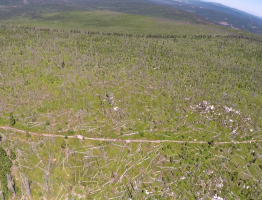 06.07.2021 Dreisesselberg