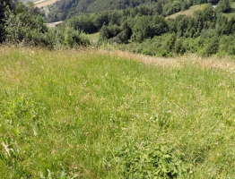 29.06.2021 Micheldorf