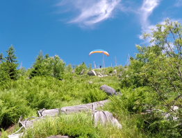 06.07.2021 Dreisesselberg