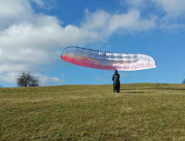 12.02.2022 in Stroheim