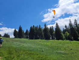 11.06.2022 am Hochficht