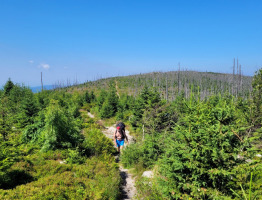 22.07.2022 am Dreisesselberg