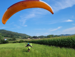 28.07.2022 in Stroheim