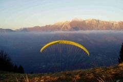 jahr_2003_5_20101127_1445131645