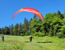 04.06.2023 am Zwieselberg