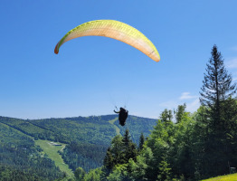 04.06.2023 am Zwieselberg