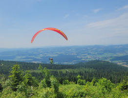 20.06.2023 am Hufberg