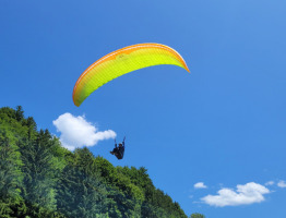 23.07.2023 am Schoberstein