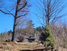 13.03.2026 am Braunberg