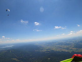 29.06.2023 am Hufberg