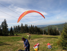 14.05.2025 am Hochficht