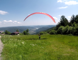 14.06.2023  Jauerling