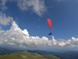 27.07.2024 Wolfsberg