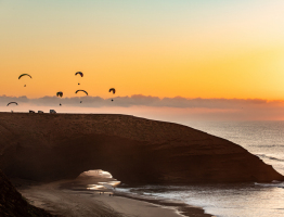 F365602D-7B4F-49B0-9CB2-2D422FACF9B3