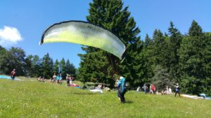 Bernhard unter den Frühstartern