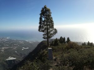 Abendstimmung am El Time